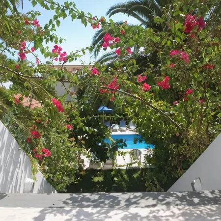Anna Studios
