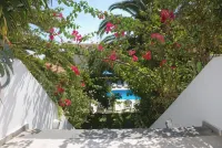 Anna Studios