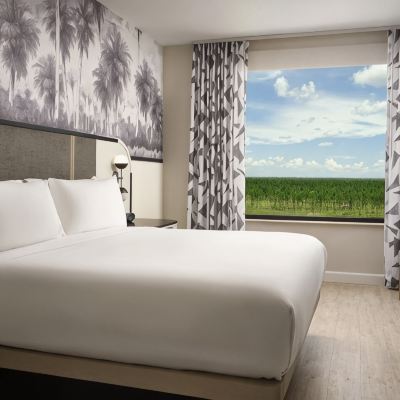 Caribe King Accessible Suite Caribe Royale Orlando Promo Code