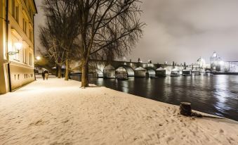 Archibald at the Charles Bridge