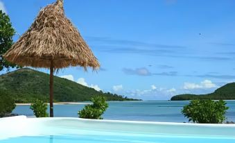a tropical resort with a thatched roof umbrella and a clear blue pool , surrounded by lush greenery and a picturesque view of the ocean at Navutu Stars Resort