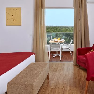 Double or Twin Room with Balcony 2 Ad + 1 Ch Alcazar Hotel & Spa Promo Code