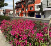 Hotel Posada Jardin