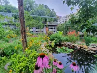 A Guest House