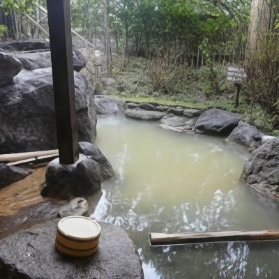 別館 メゾネット 和風 風呂付き ふもと旅館別邸　こうの湯 クーポン