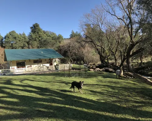 Kymmik Cottage - A slice of Tasmanian paradise Ξενοδοχεία στην πόλη Geeveston