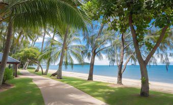 a sandy path leads through a lush green park with palm trees and a serene ocean in the background at Mantra Amphora