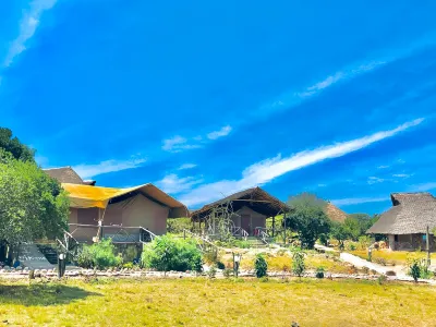 Eco Mara Tented Camp Hotels in 