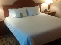 Hilton Garden Inn Toronto/Markham