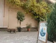 Harmony Boutique Hostel  호텔