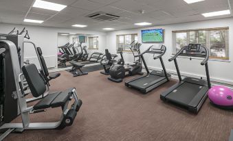 a well - equipped gym with various exercise equipment , including treadmills and weight machines , arranged in a room with windows at Aubrey Park Hotel