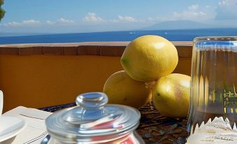La Terrazza Sul Mare - Housity