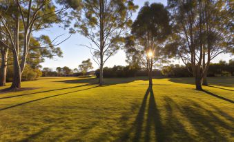 a golf course with two trees casting long shadows on the green grass , with the sun setting in the background at Ibis Budget Brisbane Airport