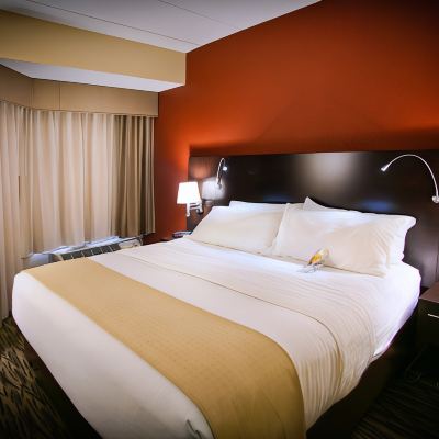 One-Bedroom King Suite With Roll-in Shower-Mobility Accessible Holiday Inn & Suites Downtown La Crosse, an IHG Hotel Promo Code