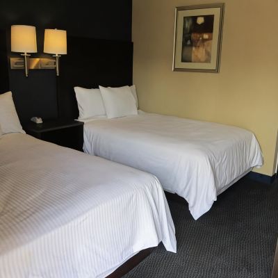 2 Queen Beds, Pet-Friendly Room, Non-Smoking Motel One Promo Code