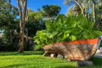 Arbatax Park Resort - Dune by Falkensteiner Hotels in 