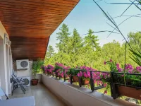 Villa Alice Hôtels à : Suceava