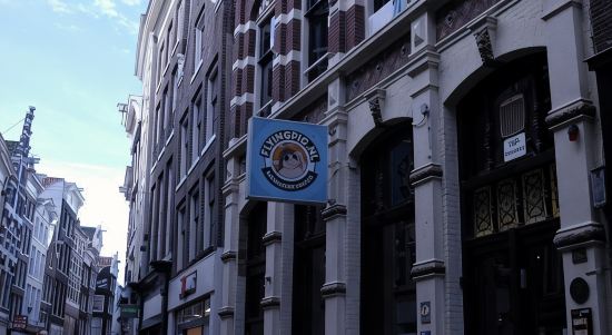 The Flying Pig Downtown