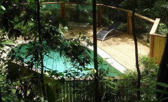 a wooden deck with a swimming pool surrounded by lush green trees , creating a serene and tropical atmosphere at Treetops Montville