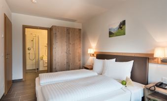 AlpenParks Hotel & Apartment Central Zell am See