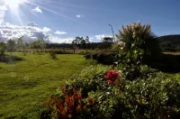 Posada Cafe la Huerta Hotels in 