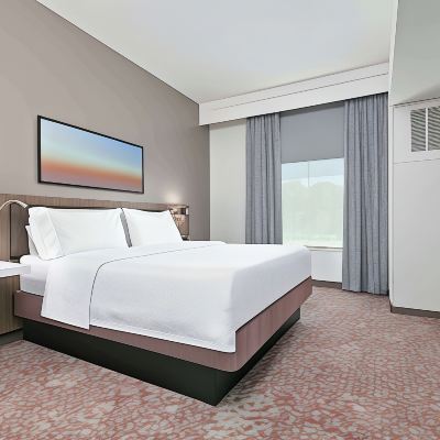 King Junior Suite Hilton Garden Inn Dallas Arlington Promo Code