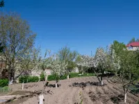 カリンズ B&B のホテル