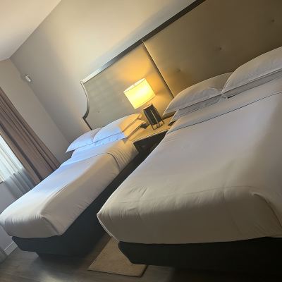 客房， 兩張雙床 紐約布魯克林喜來登酒店優惠