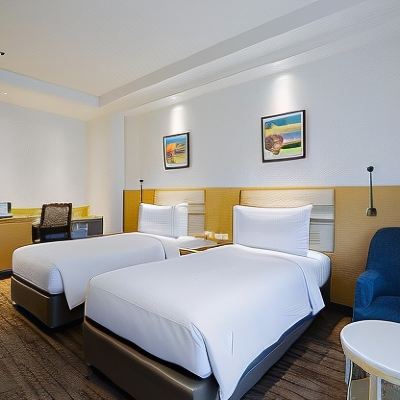 Deluxe Double or Twin Room with City View