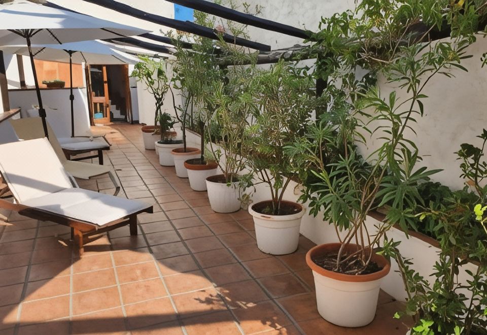 Hotel Pop, Exterior, Garden