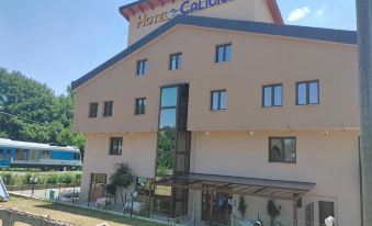 Hotel Ristorante Caligiuri - Housity