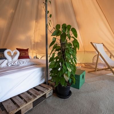 Double Room with Garden View Roost Glamping Promo Code