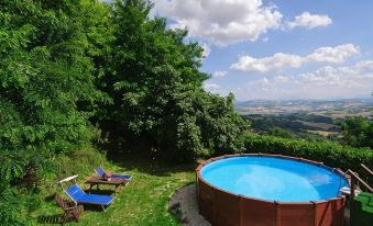 B&B La Fenice - Housity