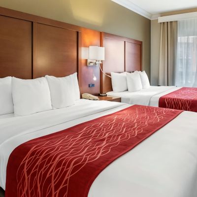 Standard 2 Kings Non-Smoking 北舊金山機場舒適套房酒店優惠