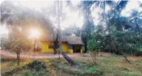 Little Yellow House • Insta: @little.yellow.house1943 Hotel a 