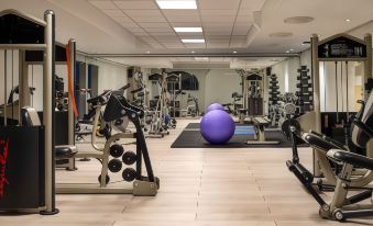 a well - equipped gym with various exercise equipment , including treadmills and weight machines , as well as a purple ball at Quality Hotel Grand Kongsberg