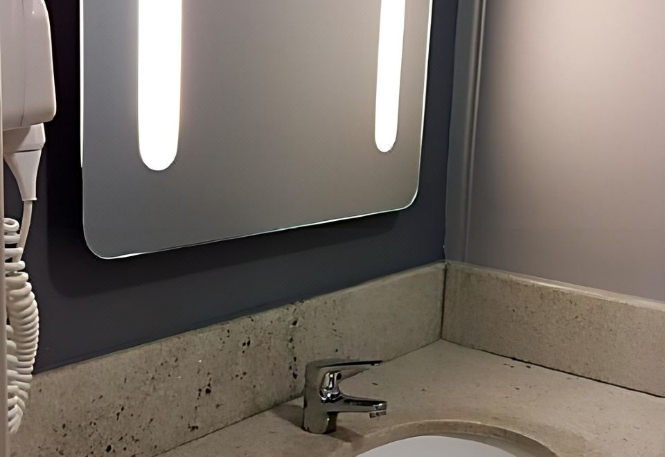 Ibis Juiz de ForaStandard Apartment-2 Single Beds