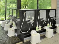 Hida Manga Kingdom Hotel a Hida