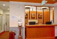 Brand Plaza Hotel