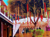 Royal Orchid Metropole Mysore Hotels in Mysore