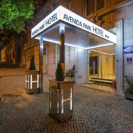 Hotel Avenida Park