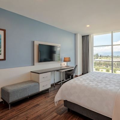 Standard King Room Holiday Inn Quito Airport, an IHG Hotel Promo Code