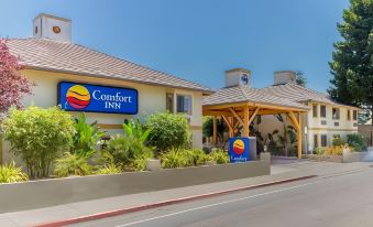 Comfort Inn Santa Cruz