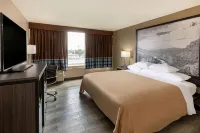 Super 8 by Wyndham Laredo