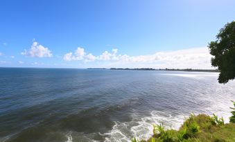 Hilo Bay Oceanfront Bed and Breakfast