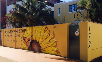 A Sunflower Stop Backpackers
