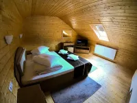 Hanul Patrisiei Hotels in 