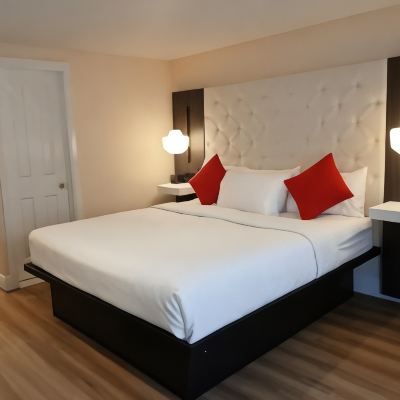 King Suite - Non-Smoking Tiki Resort Promo Code