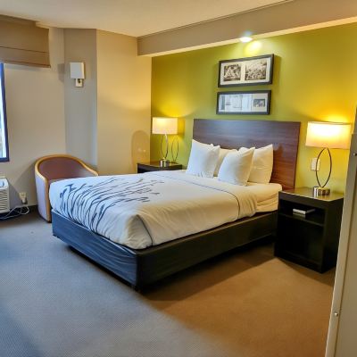 Accessible Queen Room-Non-Smoking Sleep Inn Fredericksburg Promo Code