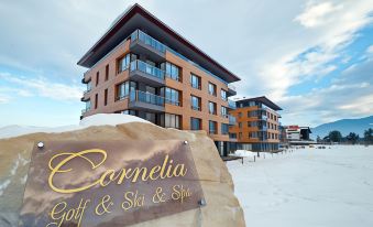 CORNELIA DELUXE RESIDENCE